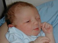 P1220013  Matthew #3