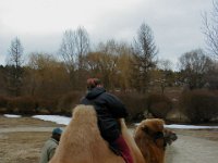 P3310010  Erika rides the camel #2