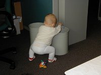 PB030025  The most interesting in this office is the paper bin!