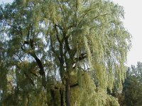 P8040047