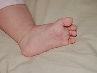 20070214DSC 0014