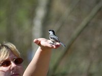 20070506DSC 0080