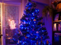 20081123DSC 0007