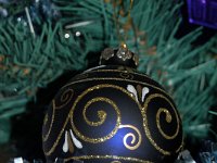 20081124DSC 0032