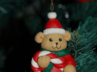 20081124DSC 0035