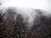 20090310DSC 3726