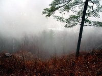 20090310DSC 3727