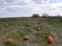 20091011CIMG0370