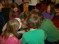 20100117DSC 0015