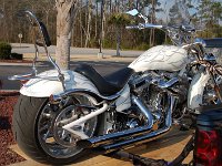 20100309DSC 0005
