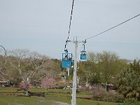 20100316DSC 0042