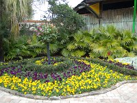 20100316DSC 0183