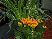 20101031DSC 0061