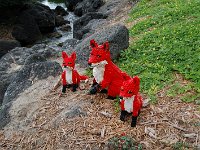 20111216DSC 0134