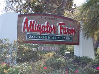 20111217130900DSC 0004