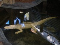 20111217133052DSC 0020