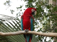 20111217135520DSC 0055