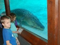 20111217144034DSC 0088