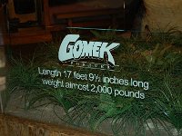 20111217144510DSC 0090