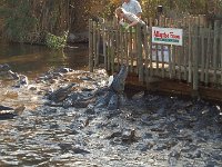 20111217150636DSC 0117