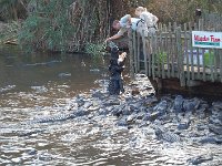 20111217150832DSC 0138