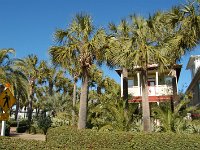 20111218140256DSC 0005