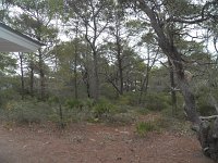 20111220120058101 0010