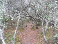 20111220131406101 0049