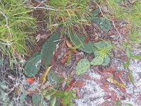 20111220131422101 0050