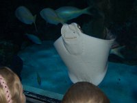 20111222133254DSC 0036