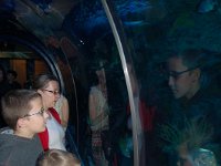 20111222133334DSC 0038