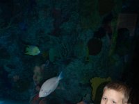 20111222133428DSC 0042