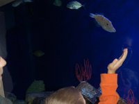 20111222133824DSC 0049