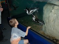 20111222140302DSC 0067