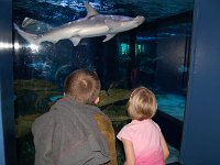 20111222140322DSC 0068