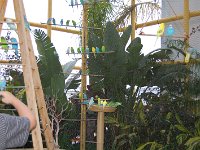 20111222141822DSC 0123