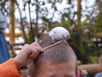 20111222142540DSC 0144