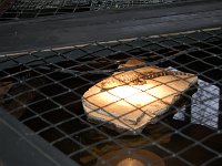 20111223123910DSC 0015