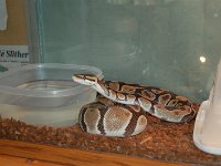 20111223124200DSC 0018