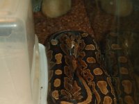 20111223124638DSC 0019