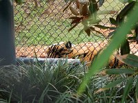 20111223143532DSC 0059