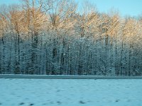 20111228164126DSC 0056