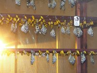 20121202124920101 0331