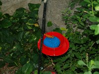 20121202133732DSC 0015