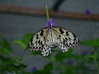 20121202133912DSC 0019