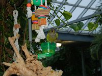 20121202134414DSC 0026