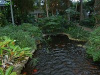 20121202135342DSC 0038