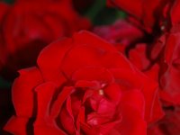 20130730DSC 0008