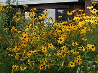 20130730DSC 0017