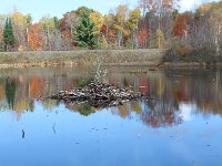 20131014IMG 1399